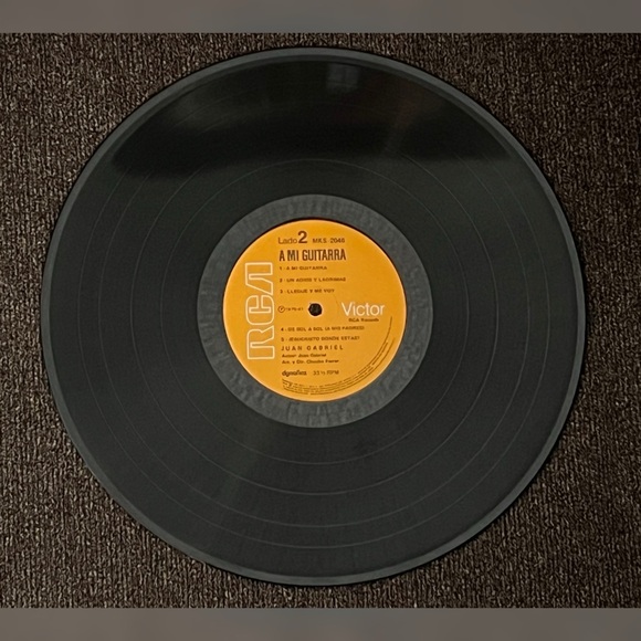 Juan Gabriel, A Mi Guitarra 1975, Arcano/RCA Records, Vinyl LP - Picture 8 of 11